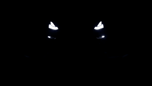 2 Color White & Amber LED Fog Light Lamps for Tesla Model 3 & Y (2 Pieces)