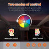 2017-2020 Tesla Model 3 & Y Ambient Lighting Kit with APP Control (Center Console Light+Dashboard Light+ 4 Door Light)