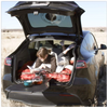 Tailgate Table for Tesla Model S, 3, X, & Y