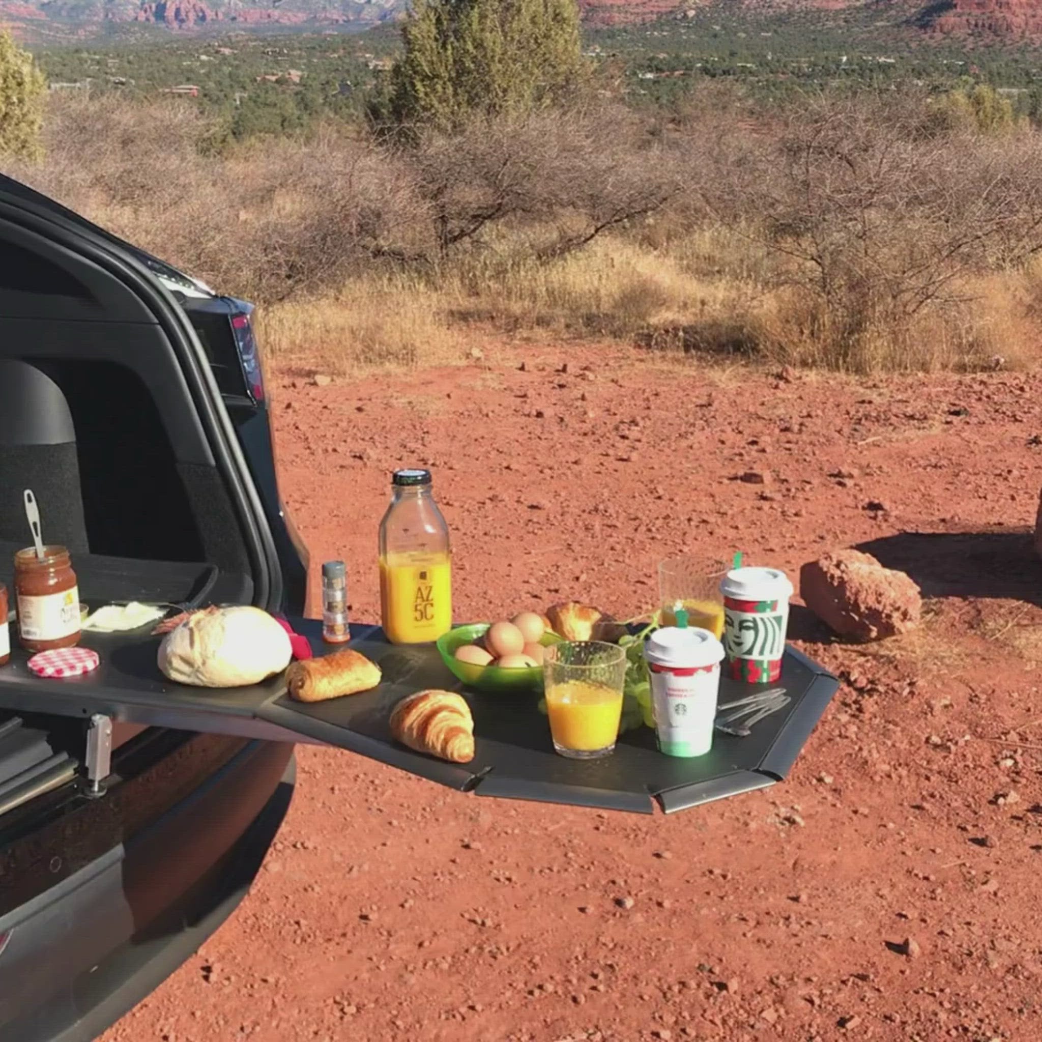 Tailgate Table for Tesla Model S, 3, X, & Y