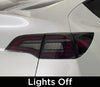 Tesla Model 3 & Y Eagle Eye Tail Lights