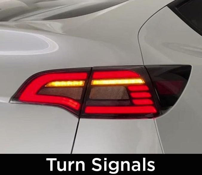 Tesla Model 3 & Y Eagle Eye Tail Lights