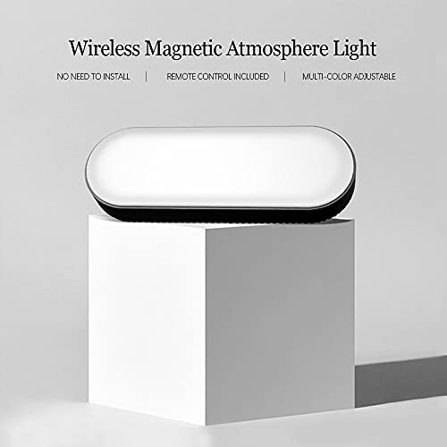 Tesla Model 3 & Y  Multi-Color Atmosphere LED Neon Light(Wireless Remote Control)
