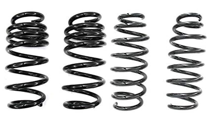 Lowering Springs for Tesla Model 3 Rear Wheel Drive (4 Piece Kit)