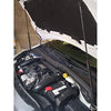 Shocks and Gas Lift Support Struts Gas Spring for Volkswagen ID.4 2020 Gas Strut (Color : Black)