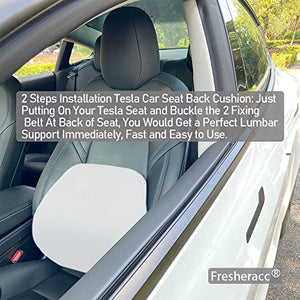 Breathable Mesh & Ergonomic Lower Back Cushion/Lumbar Support Pillow for Tesla Model S, 3, X, & Y [2 Pillows] (White)