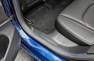 Tesla Model 3 Rear Door Entry Protector (Model 3 Rear)