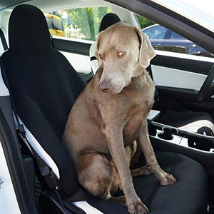 Waterproof Front Seat Cover for Tesla Model Y - Black