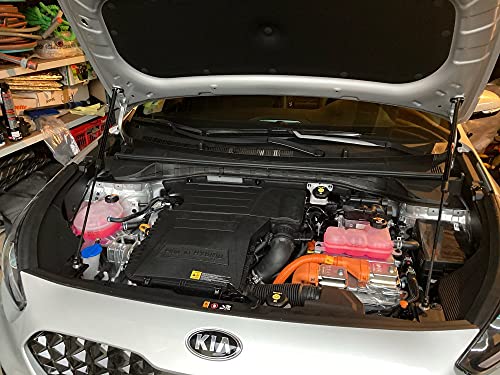 Lift Supports for Kia Niro (DE) e-Niro EV 2016-2021 Front Bonnet Hood Modify Carbon Fiber Gas Charged Shock Dampers Spring Struts Bar (2 PCS) (Red carbon fiber)