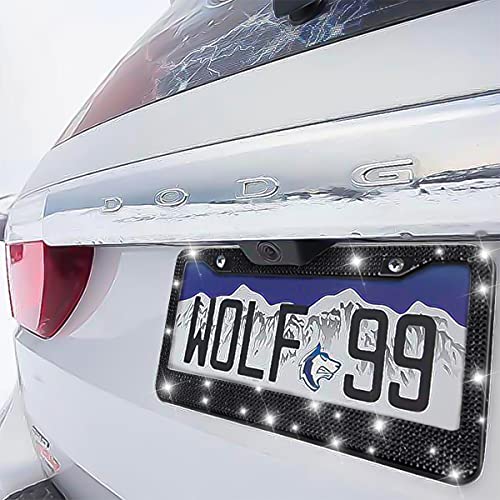 Bling Car License Plate Frame, Handcrafted Crystal Stainless Steel License Plate Frame, Sparkly, Durable, Universal Fit, Car Accessories for Girls, Women (Black)