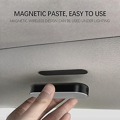 Tesla Model 3 & Y  Multi-Color Atmosphere LED Neon Light(Wireless Remote Control)