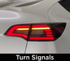 Tesla Model 3 & Y Eagle Eye Tail Lights