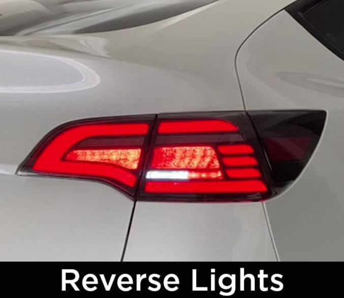 Spytte ud Skæbne Mindst Tesla Model 3 & Y Eagle Eye Tail Lights – The EV Shop